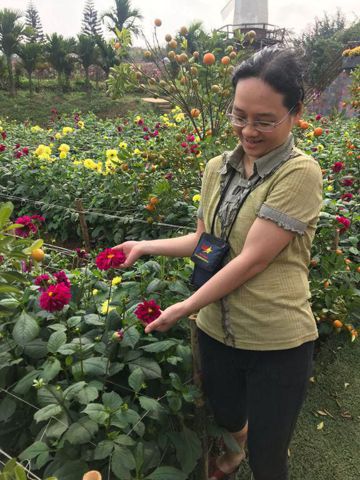 Bạn Nữ Nguyễn Thu Độc thân 41 tuổi Tìm bạn đời ở Thanh Xuân, Hà Nội