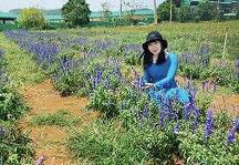 Bạn Nữ Thảo Trần Ly dị 49 tuổi Tìm người yêu lâu dài ở Quận 3, TP Hồ Chí Minh