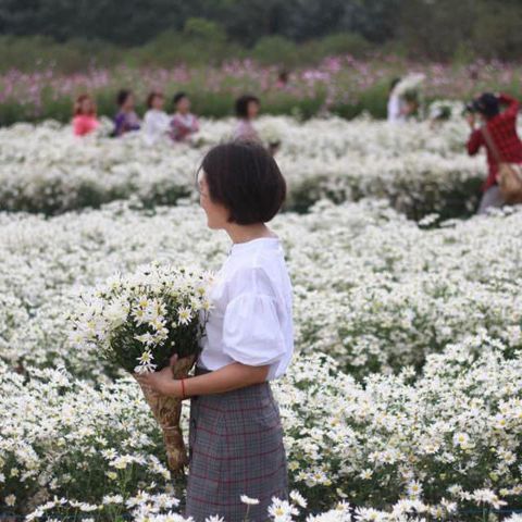 Bạn Nữ Phuong Anh Độc thân 41 tuổi Tìm bạn đời ở Quận 8, TP Hồ Chí Minh