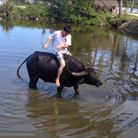 Phoi Pha - Tìm bạn bè mới - Hóc Môn, TP Hồ Chí Minh - Bạn Chân thành