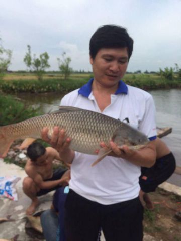 Bạn Nam Ngoc17 Độc thân 40 tuổi Tìm người để kết hôn ở Kiến Xương, Thái Bình