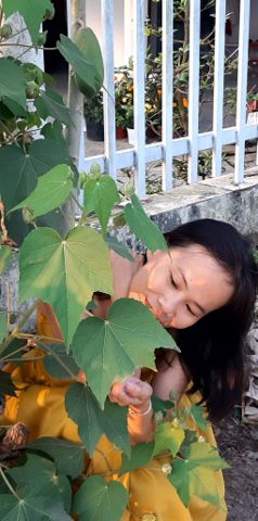 Bạn Nữ Dangoc Ly dị 39 tuổi Tìm bạn bè mới ở Tam Bình, Vĩnh Long