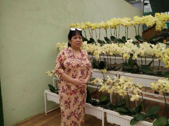 Bạn Nữ Thanh Loan Ly dị 57 tuổi Tìm người để kết hôn ở Quận 11, TP Hồ Chí Minh