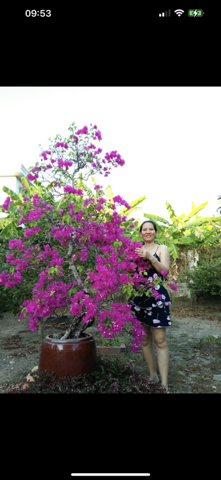 Bạn Nữ Ngọc Hoa Độc thân 47 tuổi Tìm người yêu lâu dài ở TP Cà Mau, Cà Mau
