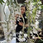 Hà Phương - HÀ NỘI - Tìm người yêu lâu dài - Thanh Xuân, Hà Nội - Trời xanh, mây trắng nắng vàng