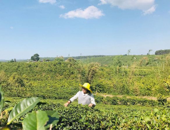 Bạn Nữ Kim Mai Độc thân 42 tuổi Tìm người để kết hôn ở Thủ Đức, TP Hồ Chí Minh