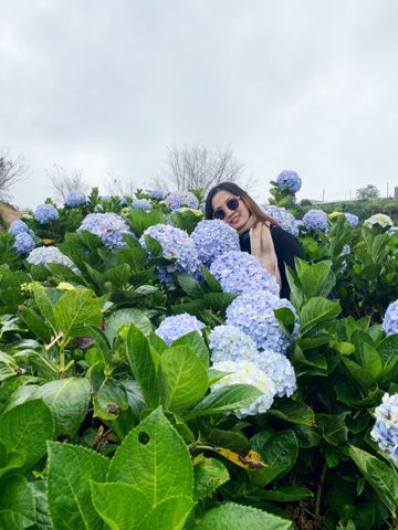 Bạn Nữ Lan Huong Ly dị 35 tuổi Tìm người yêu lâu dài ở Thủ Đức, Hồ Chí Minh