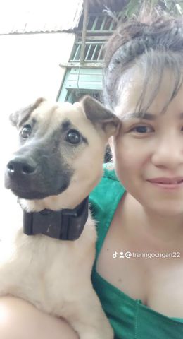 Bạn Nữ Ngân Ly dị 38 tuổi Tìm người để kết hôn ở Cái Bè, Tiền Giang