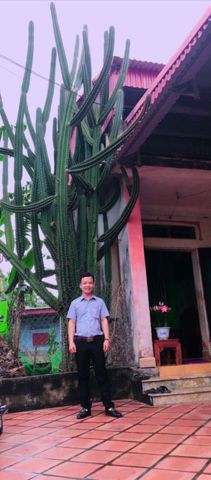 Bạn Nam Lê Vũ Ly dị 37 tuổi Tìm người để kết hôn ở Quảng Xương, Thanh Hóa
