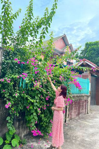 Bạn Nữ Cẩm Tú Cầu Độc thân 39 tuổi Tìm người yêu lâu dài ở Tây Hồ, Hà Nội