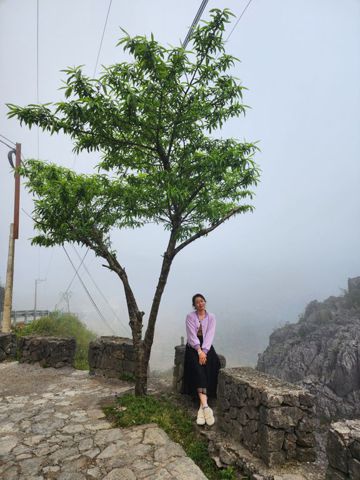 Bạn Nữ Phương Thái Độc thân 43 tuổi Tìm người yêu lâu dài ở Đà Lạt, Lâm Đồng