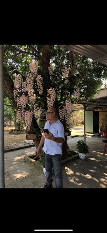 Bạn Nam Lập Độc thân 48 tuổi Tìm người yêu lâu dài ở Quận 3, TP Hồ Chí Minh