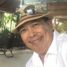 Nguyễn Nguyễn - Tìm người để kết hôn - Tân Bình, Hồ Chí Minh - chân thành