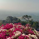 Suri - Tìm người yêu lâu dài - Củ Chi, TP Hồ Chí Minh - Xóa hồ sơ