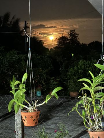 Bạn Nữ Minh Anh Độc thân 44 tuổi Tìm bạn đời ở Vũng Liêm, Vĩnh Long