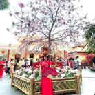 Kim Hanh - Tìm người yêu lâu dài - Quận 3, TP Hồ Chí Minh - Tìm ngươi nghiêm túc chân thành