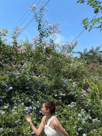 Bạn Nữ Thiên Bình Độc thân 34 tuổi Tìm người để kết hôn ở Cầu Giấy, Hà Nội