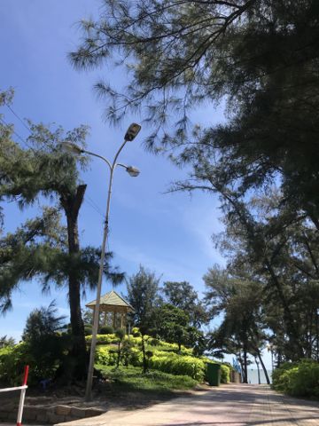 Bạn Nữ Võ Thị Thu Độc thân 47 tuổi Tìm người để kết hôn ở Phan Thiết, Bình Thuận