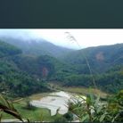 Phong - Tìm bạn đời - Mỹ Đức, Hà Nội - Anh mộc mạc,anh chân thành