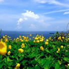 Hoàng Oanh - Tìm người để kết hôn - Hải Châu, Đà Nẵng - Em tìm bạn đời