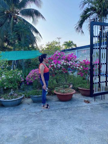 Bạn Nữ Hanh Dung Độc thân 50 tuổi Tìm người yêu lâu dài ở Quận 3, TP Hồ Chí Minh