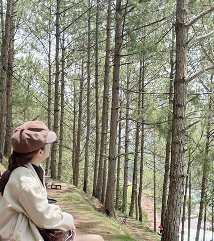 Bạn Nữ Nguyễn Trang Độc thân 33 tuổi Tìm bạn tâm sự ở Tân An, Long An