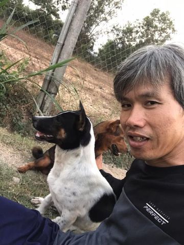 Bạn Nam Lâm trường Độc thân 41 tuổi Tìm người để kết hôn ở Châu Thành, Tây Ninh
