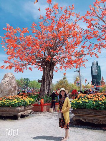 Bạn Nữ Mai Độc thân 55 tuổi Tìm người yêu lâu dài ở Mỹ Tho, Tiền Giang