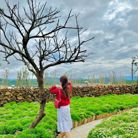 Chloe - Tìm bạn bè mới - Chợ Mới, An Giang - Tùy duyên