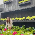 Thuy Nguyen - Tìm người để kết hôn - Sài Gòn, Hồ Chí Minh - Tìm người kết hôn