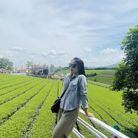 Thuỷ - Tìm bạn bè mới - An Khánh, Hà Nội - Tìm một người bạn đồng hành đi tiếp con đường đời sau này