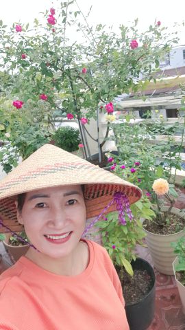 Bạn Nữ Quỳnh Độc thân 44 tuổi Tìm người yêu lâu dài ở An Cựu, Huế