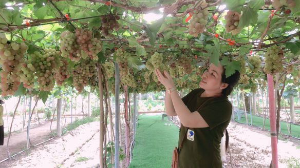 Bạn Nữ Miền Tây Độc thân 42 tuổi Tìm người yêu lâu dài ở Long Châu, Vĩnh Long