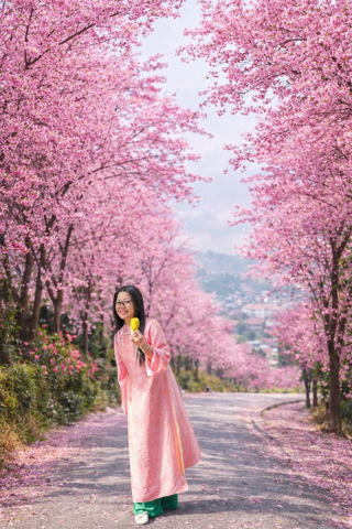 Bạn Nữ Xuyến Chi Độc thân 47 tuổi Tìm người yêu lâu dài ở Tân Định, Hồ Chí Minh