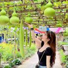 Ngô Thị Mộng Thương - Tìm người yêu lâu dài - Chợ Lớn, Hồ Chí Minh - Tìm người yêu lâu dài