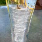 Phút - Tìm bạn tâm sự - Hồng Ngự, Đồng Tháp - Quay lại với loài người