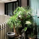 Mỹ Anh - Tìm người yêu lâu dài - Đức Trọng, Lâm Đồng - Tìm hiểu sau