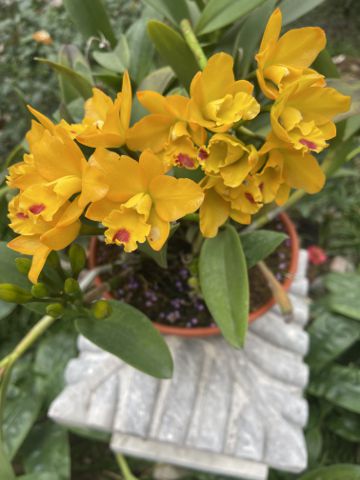 Bạn Nam Hùng Độc thân 31 tuổi Tìm người yêu ngắn hạn ở Thanh Xuân, Hà Nội