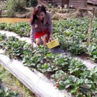 Duyên - Tìm người để kết hôn - Sài Gòn, Hồ Chí Minh - Tìm người cùng nhau đi hết quãng đời còn lại