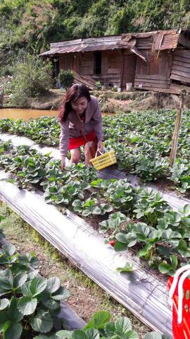 Bạn Nữ Duyên Ly dị 42 tuổi Tìm người để kết hôn ở Sài Gòn, Hồ Chí Minh