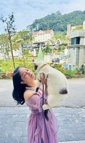 Bạn Nam Tìm Bạn Tâm Độc thân 41 tuổi Tìm người yêu lâu dài ở Thới Hòa, Hồ Chí Minh