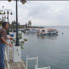 Phero bui - Tìm người yêu ngắn hạn - Xuân Hòa, Hồ Chí Minh - Lãng mạn và thực tiễn..