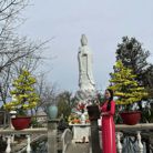 Nhi Luu - Tìm người yêu lâu dài - Texas, Mỹ - Vui vẻ hòa đồng