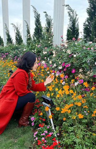 Bạn Nữ NẮNG MAI Độc thân 44 tuổi Tìm người yêu lâu dài ở Hai Bà Trưng, Hà Nội