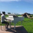 Duy - Tìm người để kết hôn - Gia Định, Hồ Chí Minh - Chân thành,nhẹ nhàng và lắng nghe