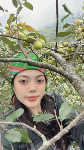 Bạn Nữ Dương Yến Ở góa 34 tuổi Tìm người yêu lâu dài ở Nghĩa Lộ, Lào Cai