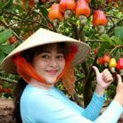 Hoa hồng - Tìm người để kết hôn - Cao Lãnh, Đồng Tháp - Tìm bạn đời chia sẻ