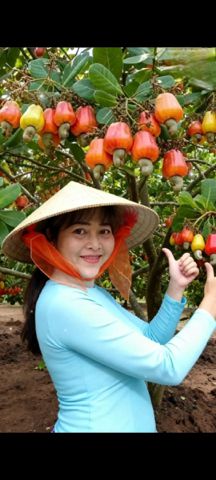 Bạn Nữ Hoa hồng Ly dị 39 tuổi Tìm người để kết hôn ở Cao Lãnh, Đồng Tháp