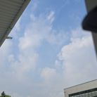 Hạ vủ - Tìm người yêu lâu dài - Long Xuyên, An Giang - Lun lun chung thủy