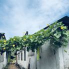 Ng Ngọc Nga - Tìm người yêu lâu dài - Vị Thanh, Cần Thơ - Tìm Bạn đời.